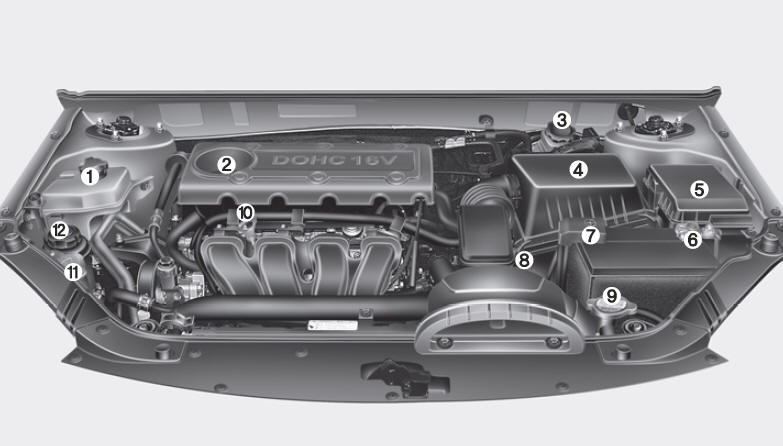 Engine compartment - Your vehicle at a glance - Kia Magentis Owners