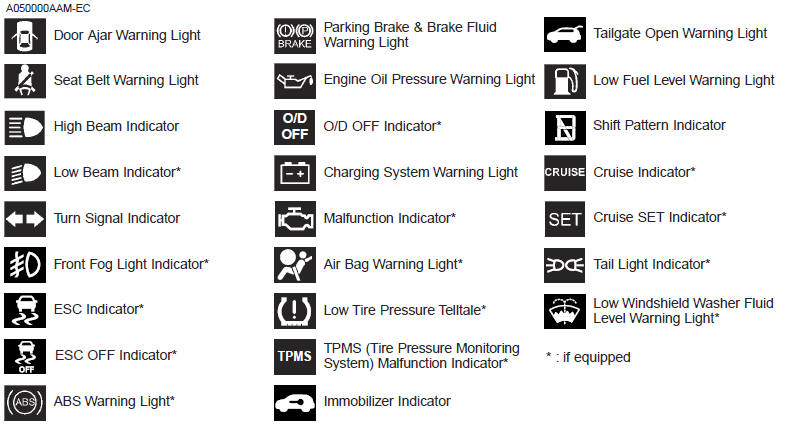 Indicator symbols on the instrument cluster - Introduction - Kia Soul