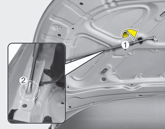 3. Pull out the support rod from the hood.