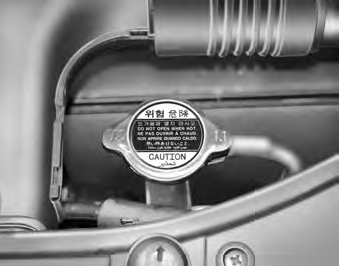 WARNING - Radiator cap