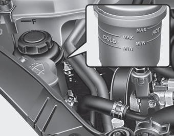 Power steering fluid - Maintenance - Kia Magentis Owners Manual - Kia