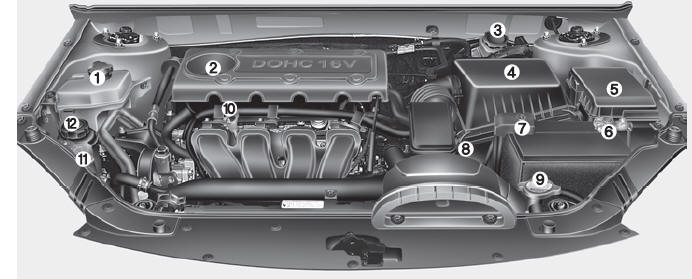 Gasoline Engine (2.4L)