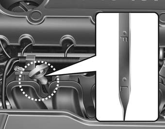 Checking the engine oil level