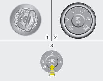 1. Turn the ignition switch to the ON position.