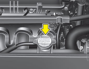 WARNING - Radiator cap