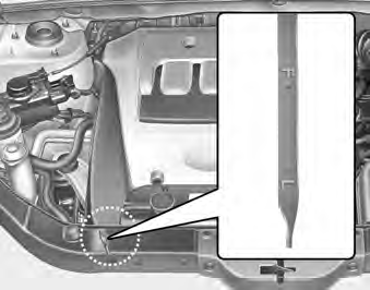 Checking the engine oil level